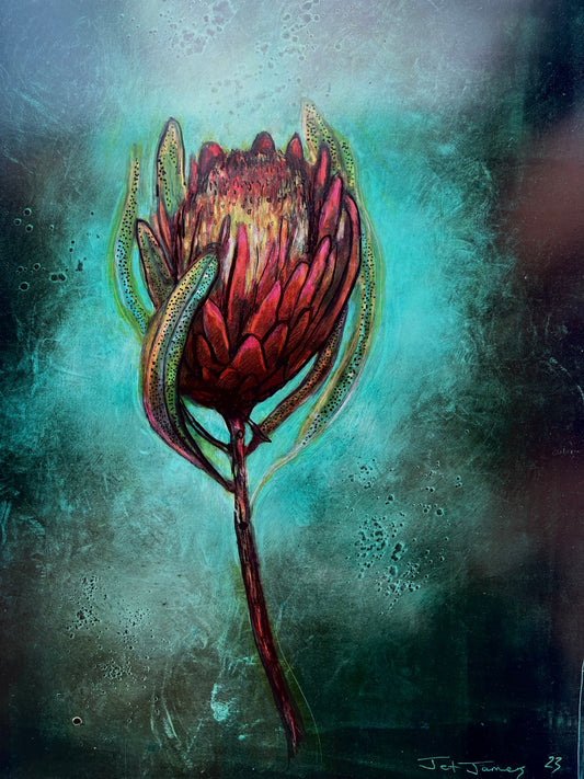 'Protea Flower' Original Artwork