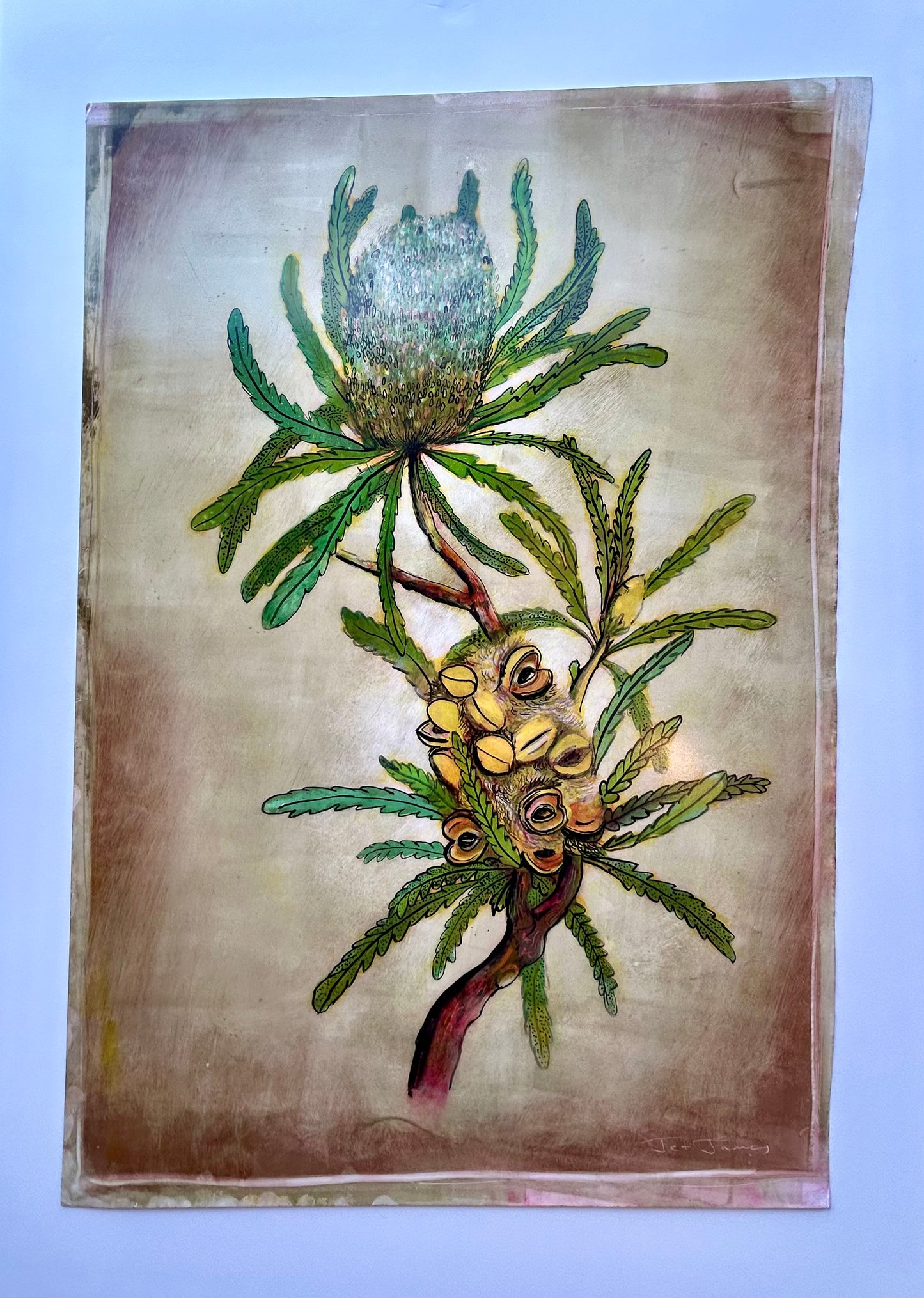 'Native Australia-Banksia' Original Artwork