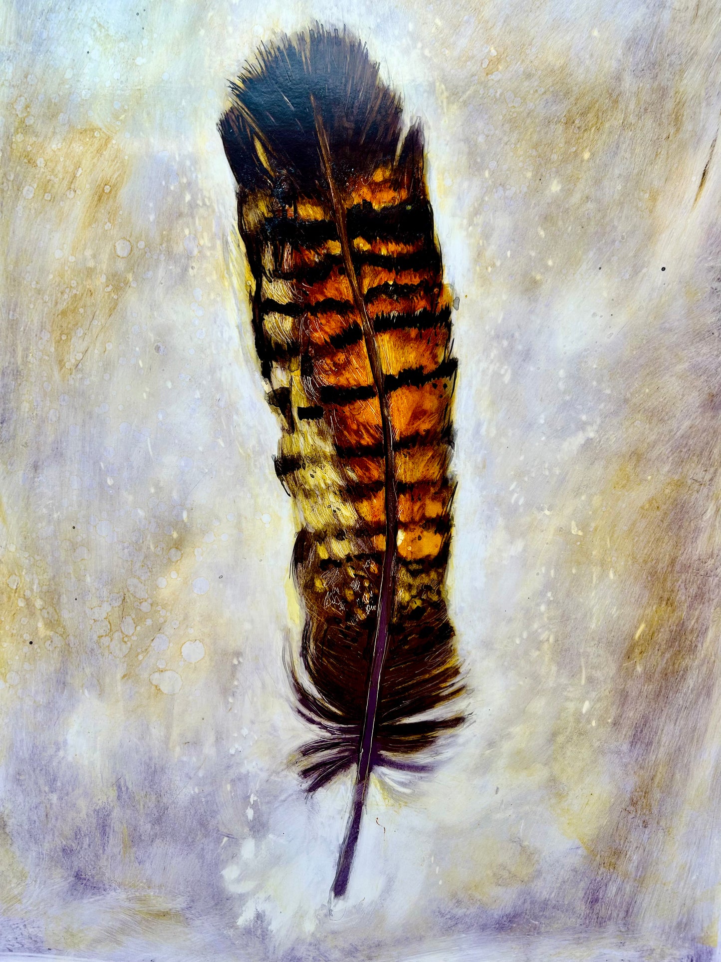 'Black Cockatoo Feather'  Original Artwork