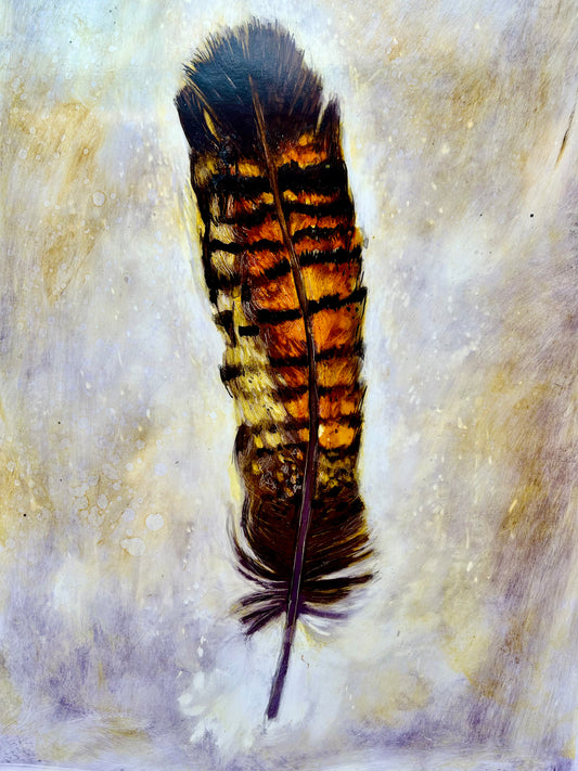 'Black Cockatoo Feather'  Original Artwork