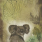'Koala in Golden Glow'  Fine Art Print