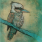 'Kookaburra in Blue'  Fine Art Print