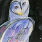 'Mystic Owl'  Fine Art Print
