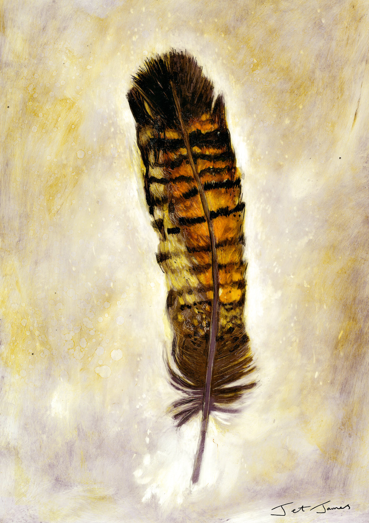 Red Tail Black Cockatoo Feather Art Print