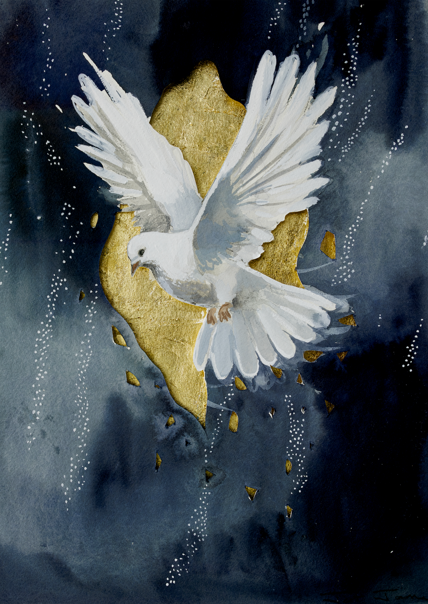 Dove Fine Art Print