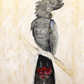 Stolen Cockatoo Fine Art Print