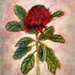 Waratah Art Print