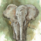 Elephant Fine Art Print