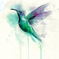 'Humming Bird' Fine Art Print