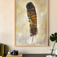 Red Tail Black Cockatoo Feather Art Print