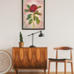 Waratah Art Print