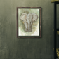 Elephant Fine Art Print