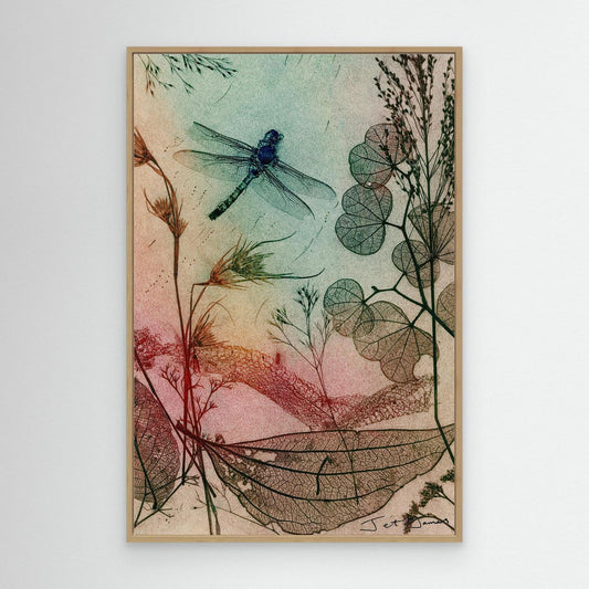 Dragonfly Dreaming 