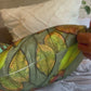 Gum tree  Cushion Cover