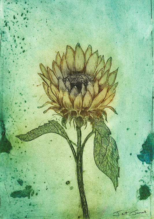Sunflower 2023 Art Print