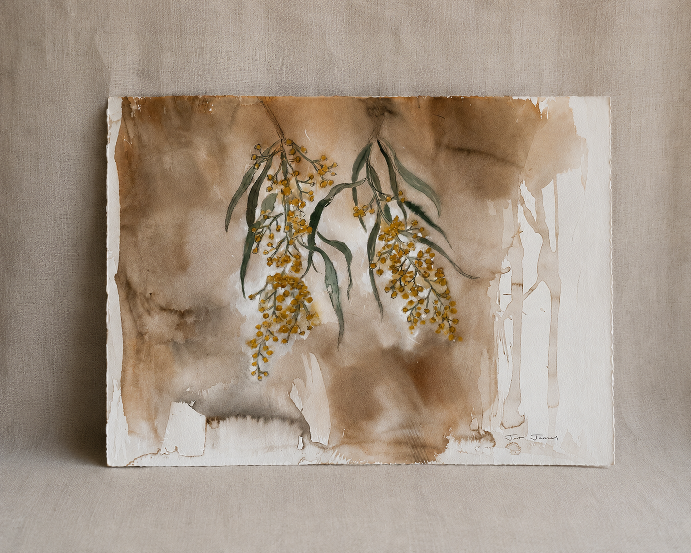 Wattle Original artwork