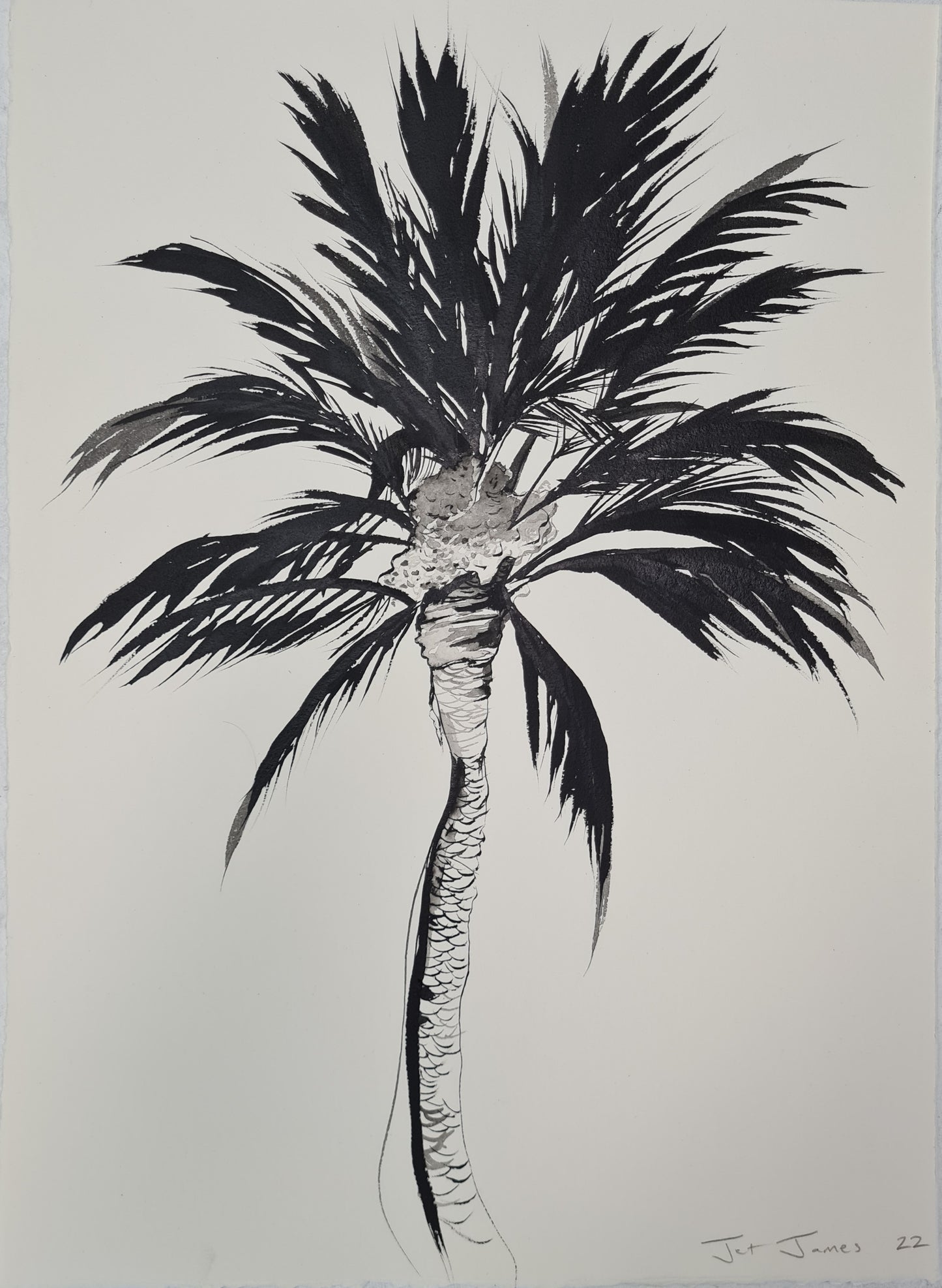 Black and White Palm Drawing #4