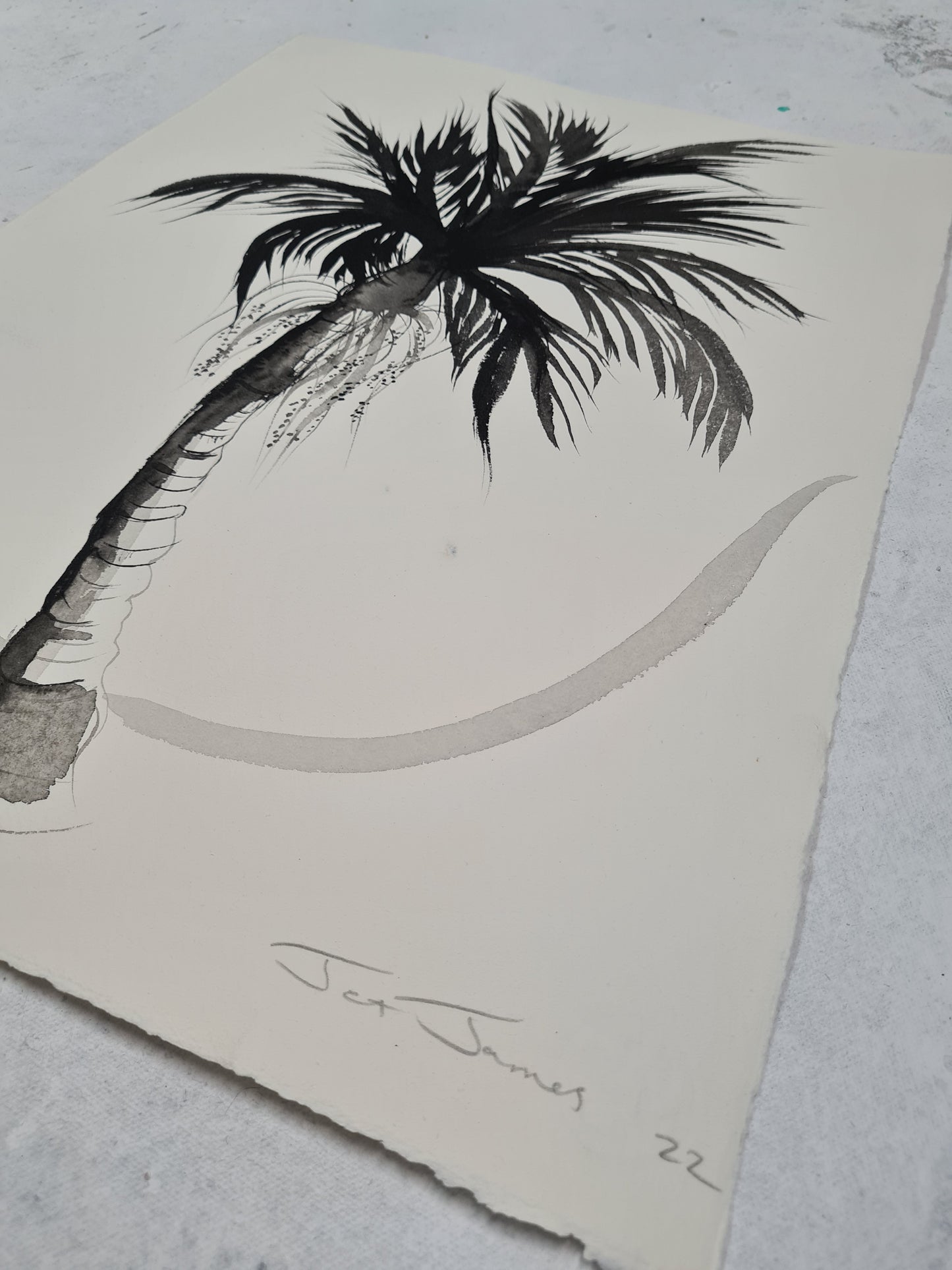 Black and White Palm Drawing #3