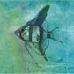 'Angelfish' Fine Art Print