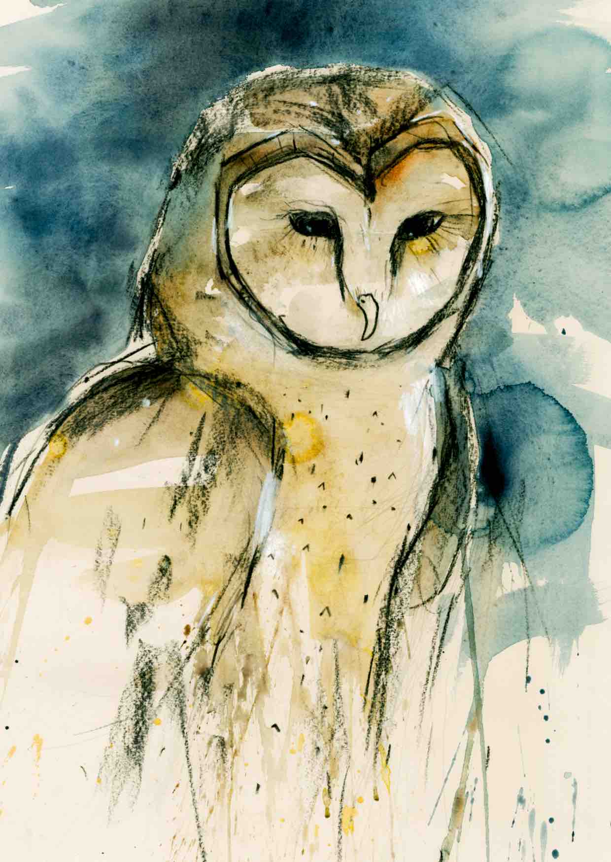 Barn Owl Print