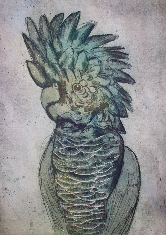 'Black Cockatoo' Original Collagraph