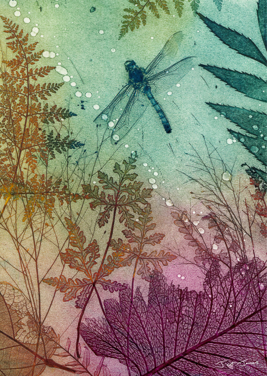 Bliss Dragonfly Fine Art Print