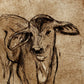 'Brown Calf' Fine Art Print