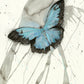 Butterfly Fine Art Print
