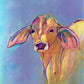 Rockhampton Cow Print