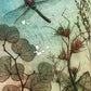 Water Dragonfly Fine Art Print
