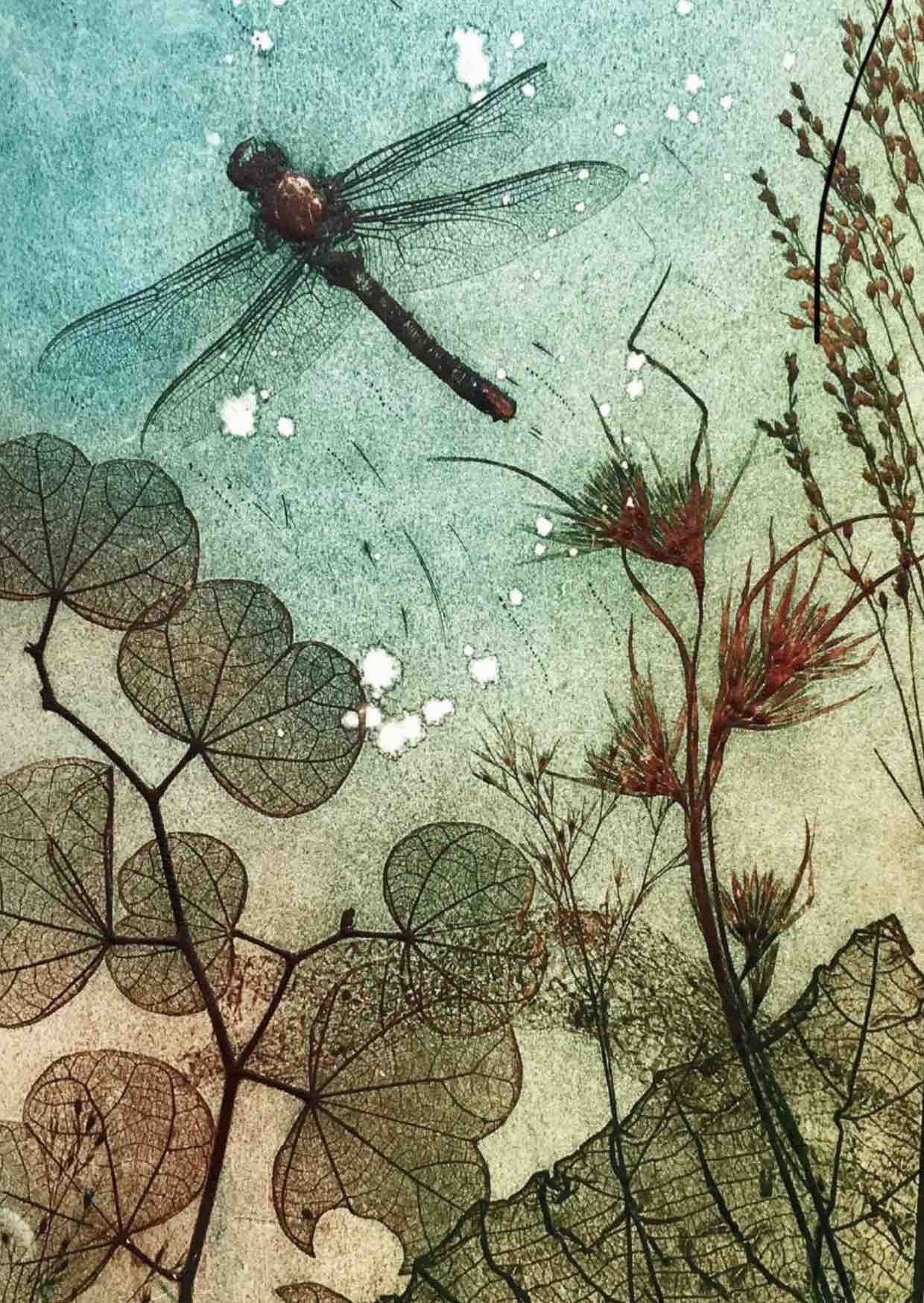 Water Dragonfly Fine Art Print