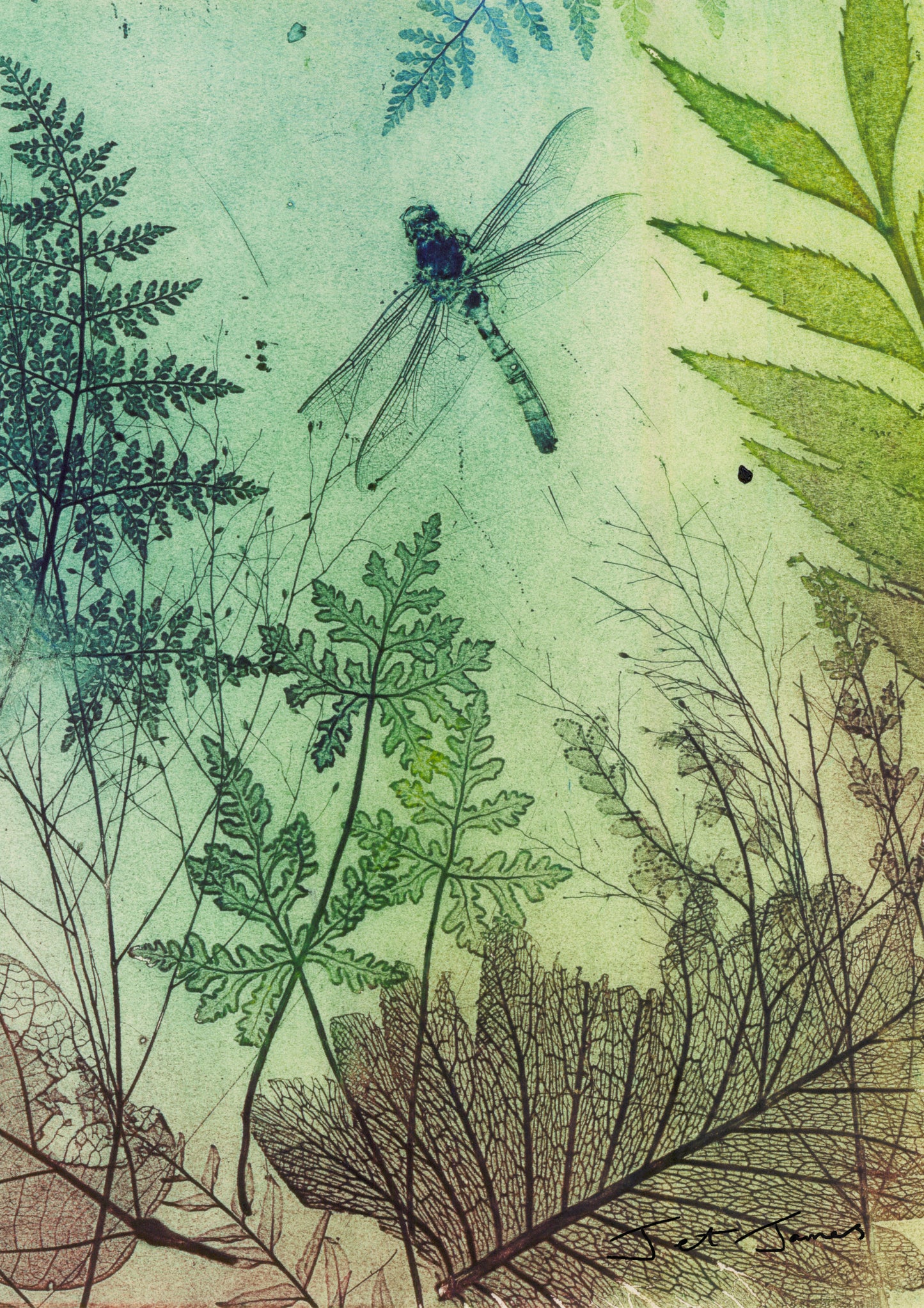 'Dragonfly Essence' Fine Art Print