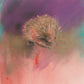 'Echidna' Fine Art Print