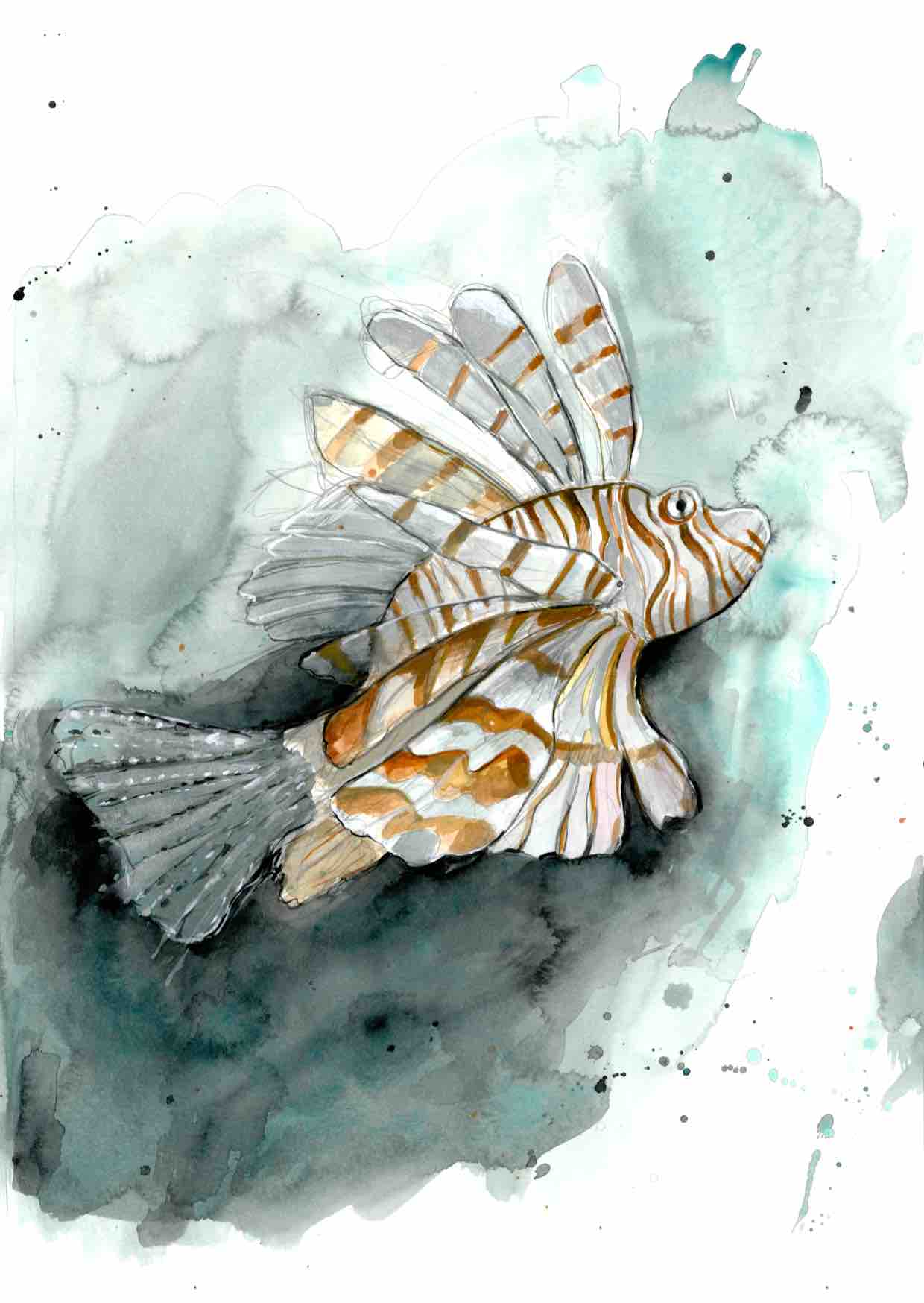 Lion Fish - Fine Art Print