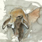 'Got Beef' Fine Art Print