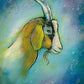 'Great Keppel Goat' Fine Art Print