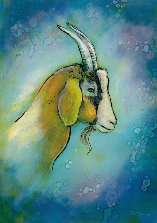 'Great Keppel Goat' Fine Art Print