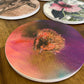 Echidna Ceramic Coaster