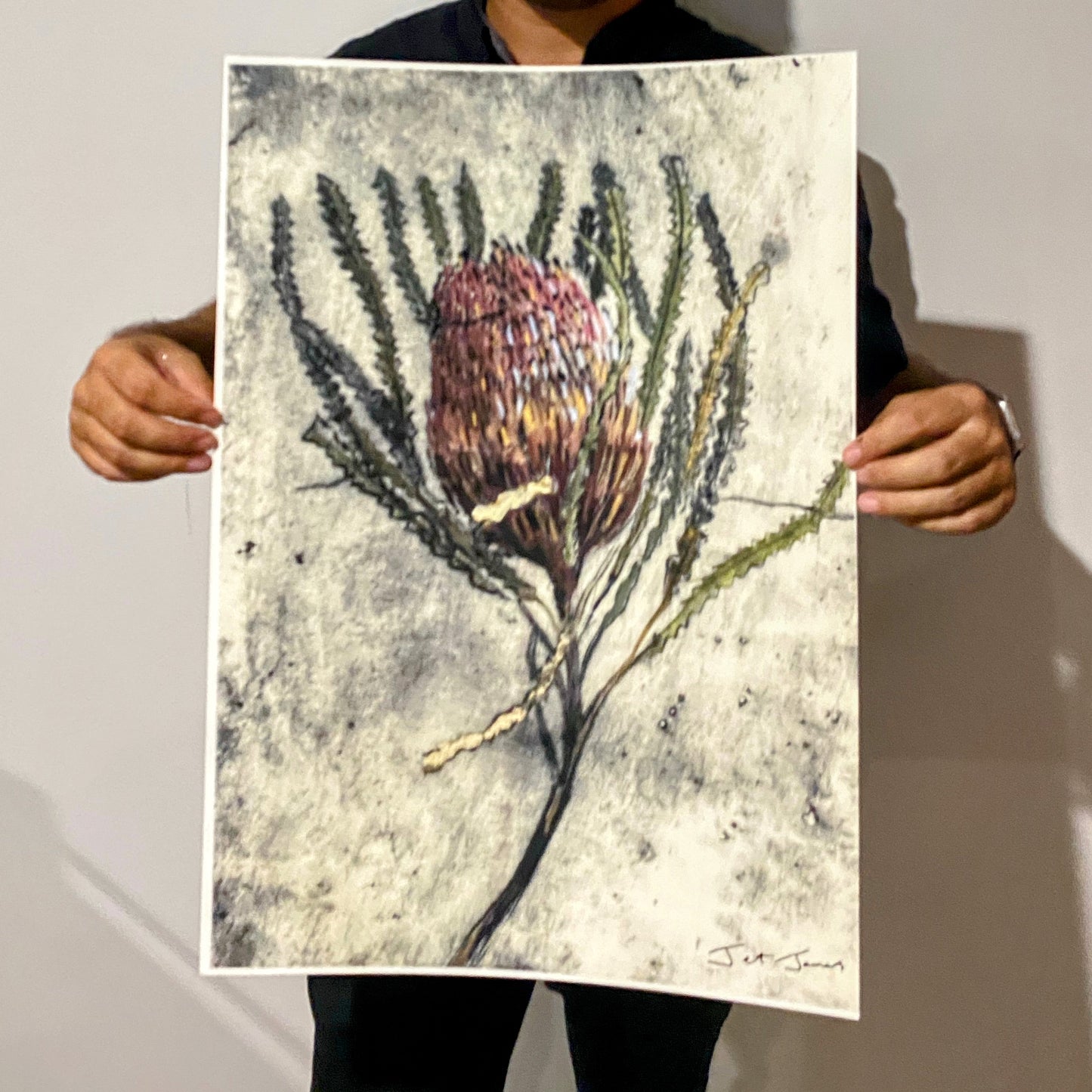 Banksia Art Print