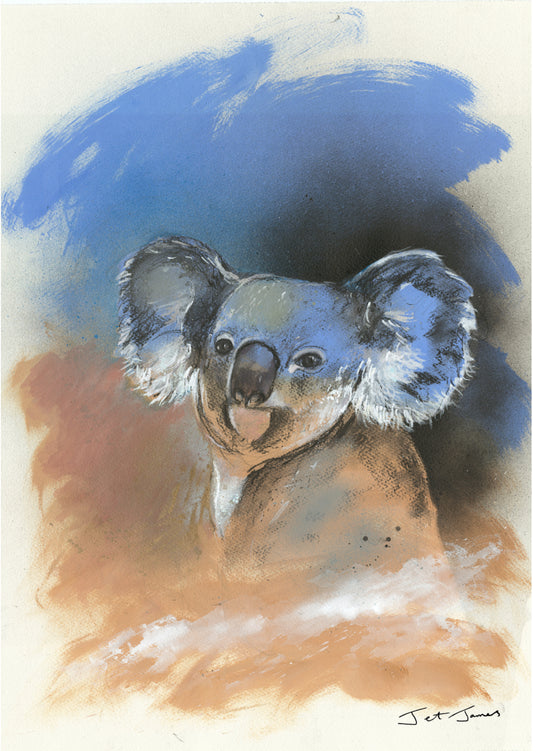 'Koala' Fine Art Print