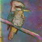 'Kookaburra Night' Fine Art Print