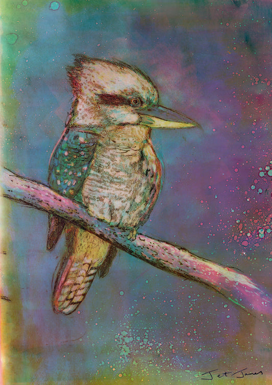 'Kookaburra Night' Fine Art Print