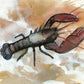 'Lobster' Fine Art Print