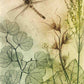 Muted Dragonfly Fine Art Print