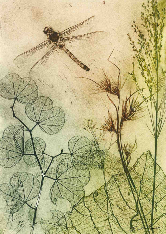 Muted Dragonfly Fine Art Print