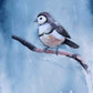 Owl finch Fine Art Print