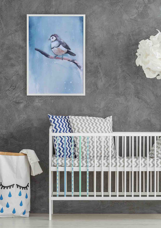 Owl finch Fine Art Print