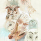 'Owl Study' Fine Art Print