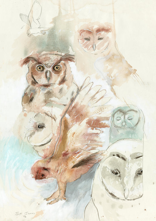 'Owl Study' Fine Art Print