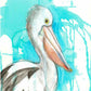 Pelican Fine Art Print